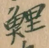 字鯉