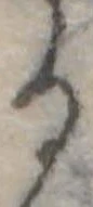 位置定マレル𛃻