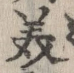已定位美