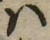Đã định vị 𛂞