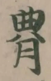 䐌の位置