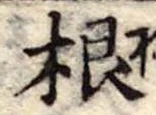 根 위치 확인됨