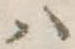 𛂞 위치 확인됨