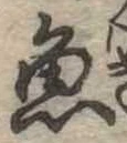 魚 위치 확인됨