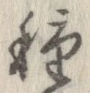 已定位種