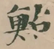 鮎の位置