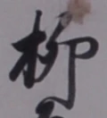 글자 柳