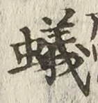 字蟻