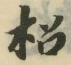 柖の位置