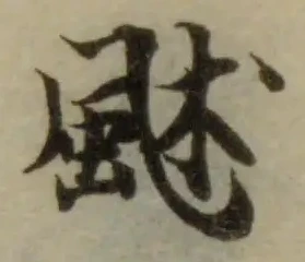 𩖶 위치 확인됨