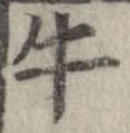 已定位牛