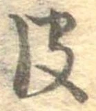 已定位皮