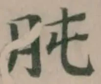 肫 위치 확인됨
