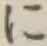 文字に