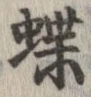蝶 위치 확인됨