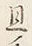 글자 旦