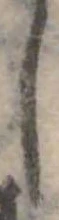 𛁅 위치 확인됨