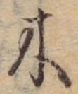 位置 確認된 木
