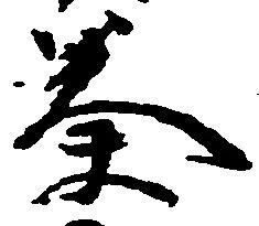 已定位奏