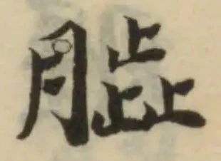 腦 위치 확인됨