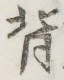 背 위치 확인됨