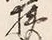 글자 狭