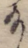 位置 確認된 給
