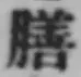 字膳