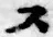글자 ス