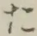 글자 た