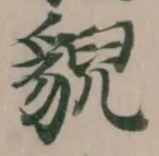 貎の位置