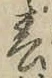 글자 春