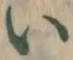 글자 い