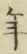 Chữ 年