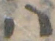 𛂞 위치 확인됨