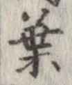 葉，已得其位