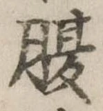 腹 위치 확인됨