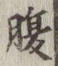 腹 위치 확인됨