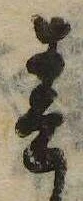 位置 確認된 春