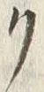 글자 リ