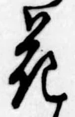 位置定マレル花