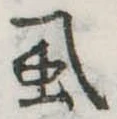 虱 위치 확인됨