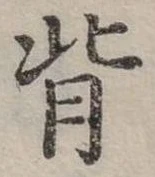 位置定マレル背
