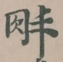 肨の位置