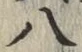 글자 八