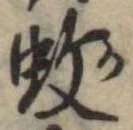 位置 確認된 蚊