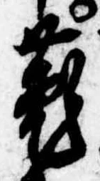 菟の位置