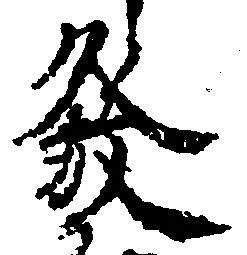 位置 確認된 発