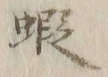 글자 蝦