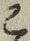 文字こ